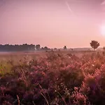Semesterbostad In Veluwe Near Nature Trails