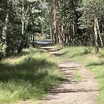 In Veluwe Near Nature Trails Semesterbostad Voorthuizen