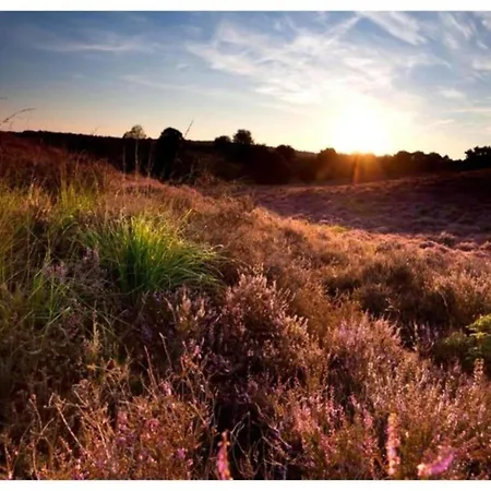 In Veluwe Near Nature Trails Semesterbostad *