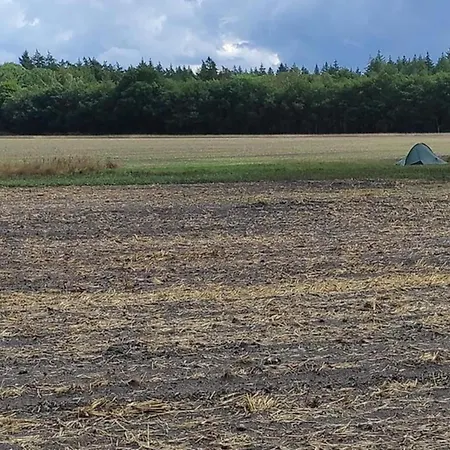 In Veluwe Near Nature Trails Voorthuizen
