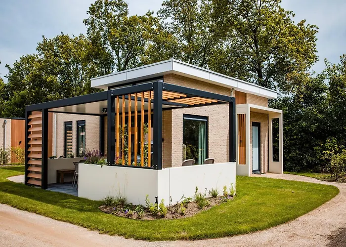 In Veluwe Near Nature Trails *