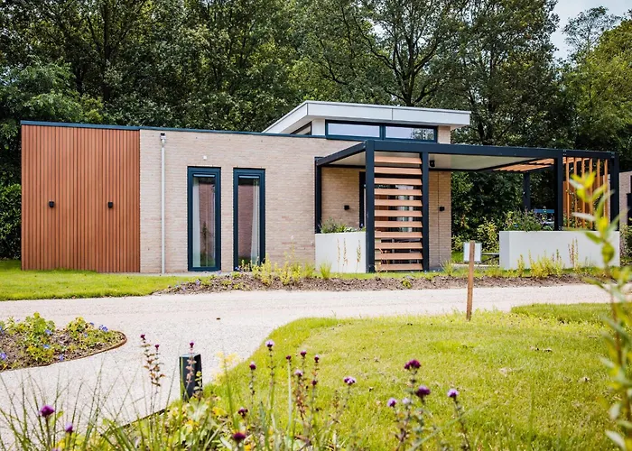 In Veluwe Near Nature Trails * Voorthuizen