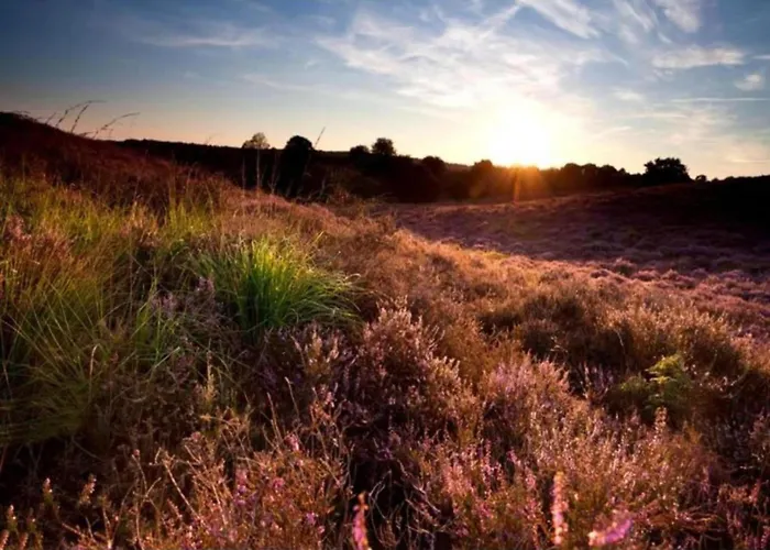 In Veluwe Near Nature Trails Semesterbostad *