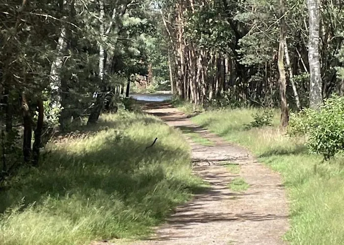 In Veluwe Near Nature Trails Semesterbostad Voorthuizen