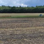 In Veluwe Near Nature Trails Voorthuizen