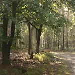 In Veluwe Near Nature Trails Holiday home