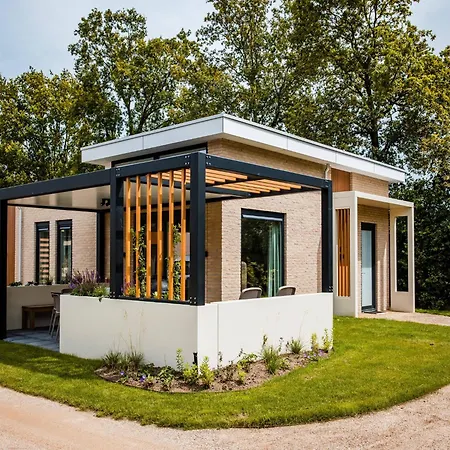 In Veluwe Near Nature Trails *