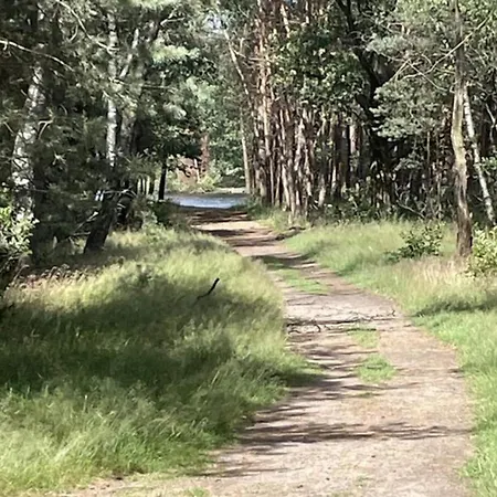 In Veluwe Near Nature Trails Holiday home Voorthuizen