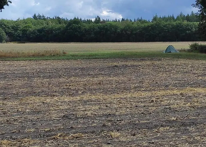 In Veluwe Near Nature Trails Вортхёйзен