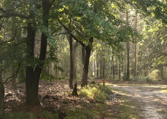 In Veluwe Near Nature Trails Дом отдыха